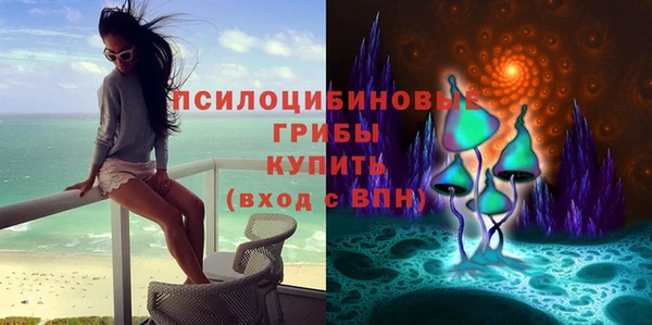 каннабис Корсаков