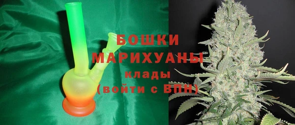 каннабис Корсаков